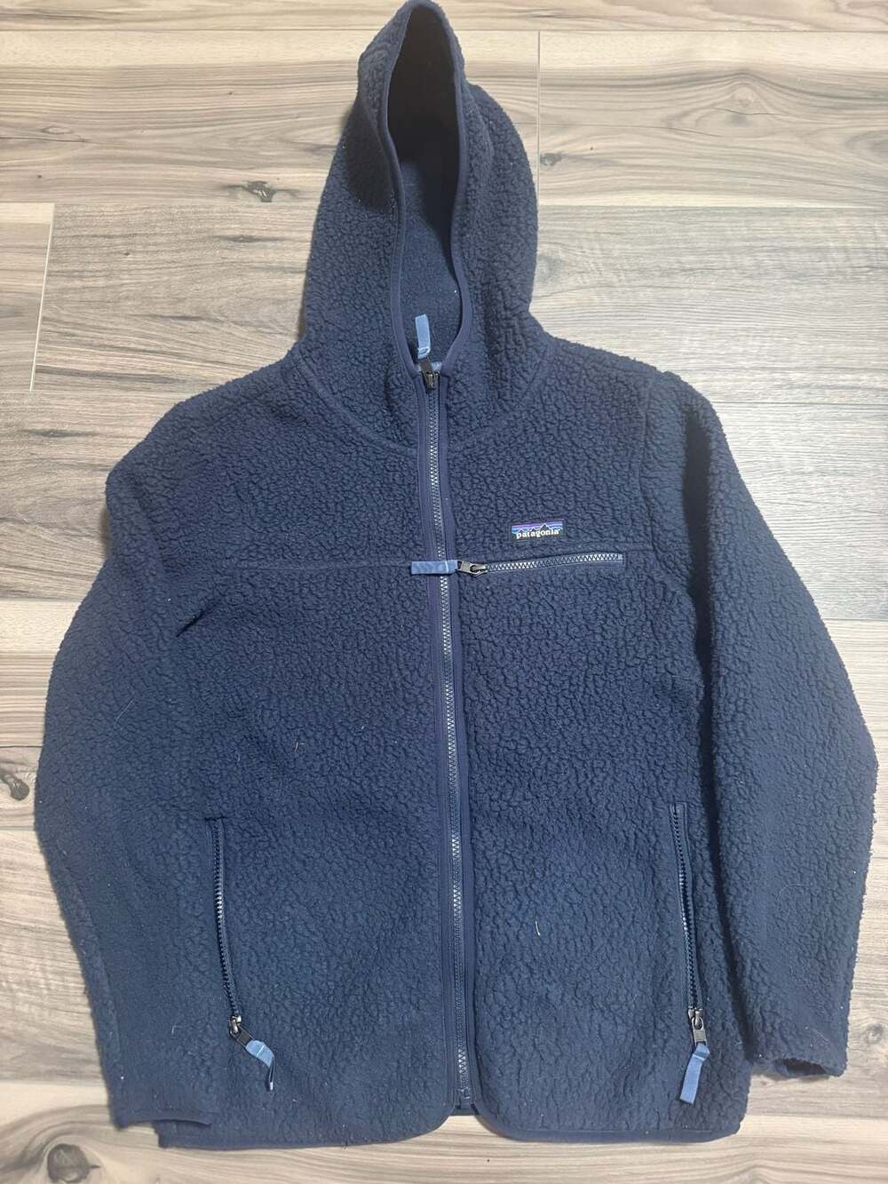 Patagonia Retro Pile Hoody Fleece Jacket